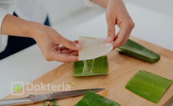 Tips Memilih Gel Lidah Buaya Berkualitas